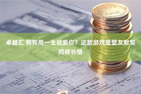 卓越汇 狗狗用一生说爱你？这款游戏里盟友默契同样长情