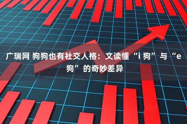 广瑞网 狗狗也有社交人格：文读懂 “i 狗” 与 “e 狗” 的奇妙差异