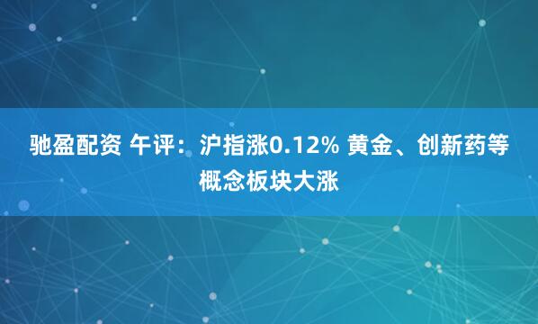 驰盈配资 午评：沪指涨0.12% 黄金、创新药等概念板块大涨