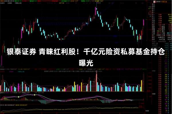 银泰证券 青睐红利股！千亿元险资私募基金持仓曝光